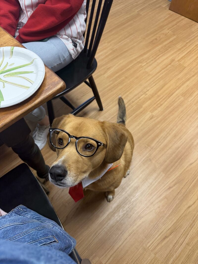 Cooper wearing glasses and a red tie, looking up from under a desk.