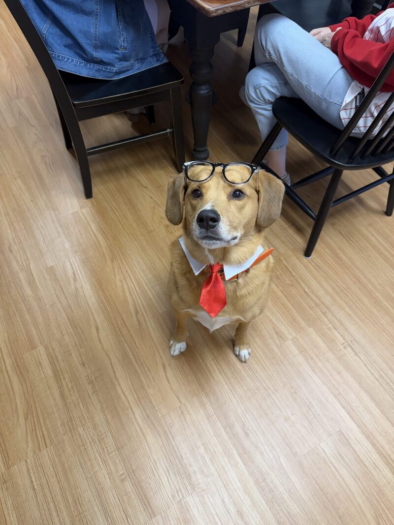 Cooper, Exhibit A: Official portrait, Q2 filing period.
