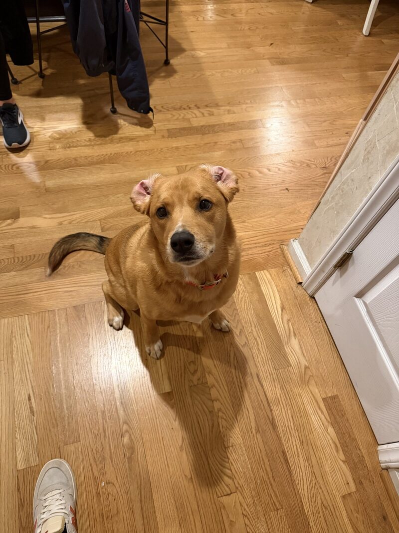 Cooper, Exhibit F: Home-office reconnaissance, jurisdiction: kitchen.
