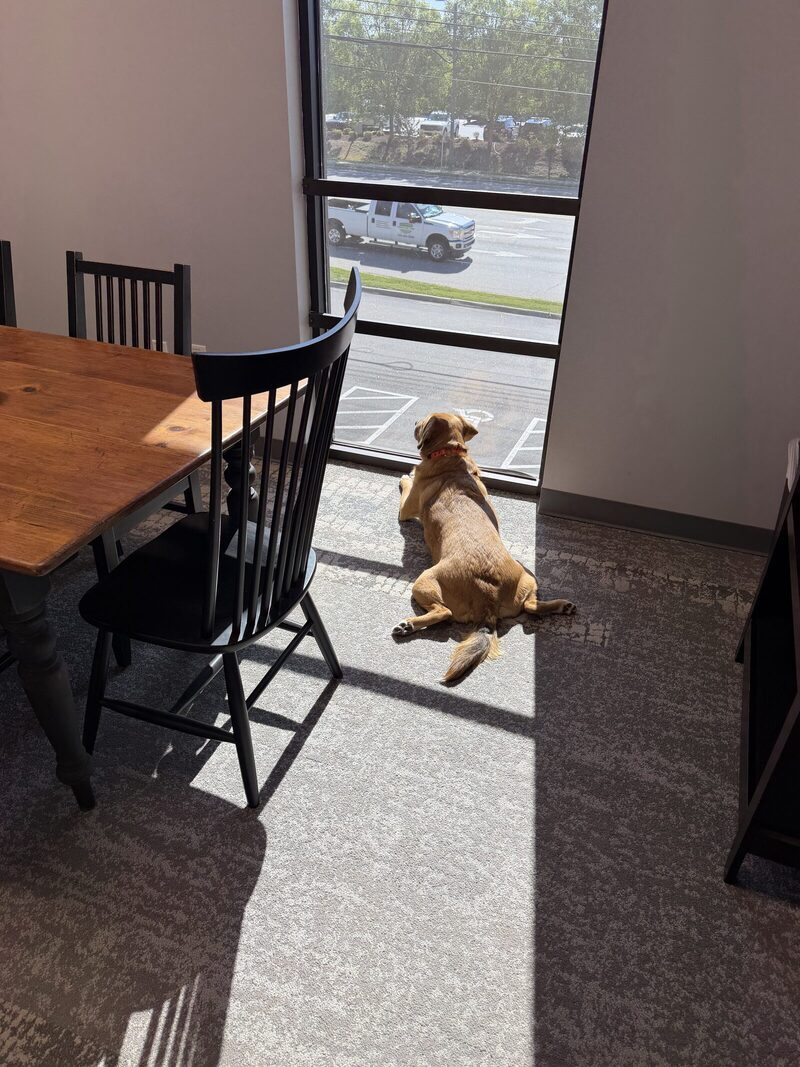 Cooper, Exhibit C: Window deposition, civil hour.